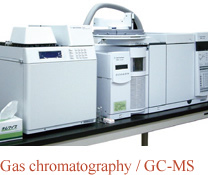 Gas chromatography / GC-MS