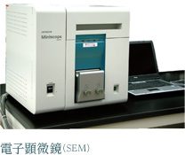 電子顕微鏡（SEM）